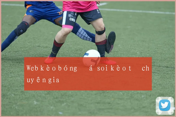 Web kèo bóng đá soi kèo từ chuyên gia